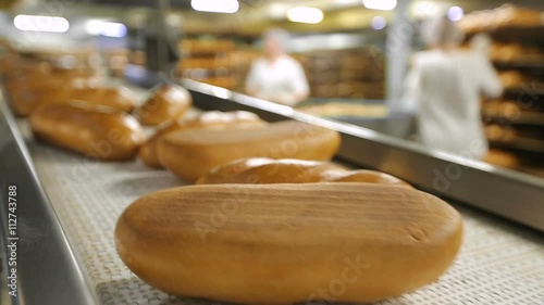 bread on the conveyor belt at the bakery