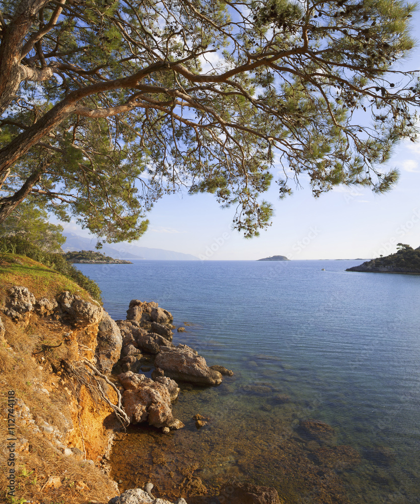 Turkey, sea, pine trees and the sea. The rocky shore. On the horizon Islands.