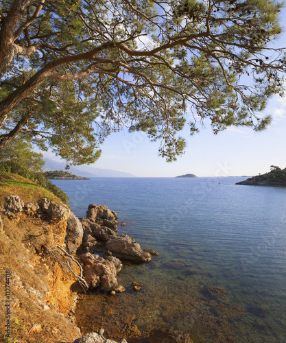 Obraz na płótnie Turkey, sea, pine trees and the sea. The rocky shore. On the horizon Islands. w salonie