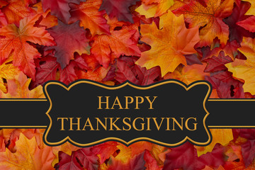 Happy Thanksgiving Greeting