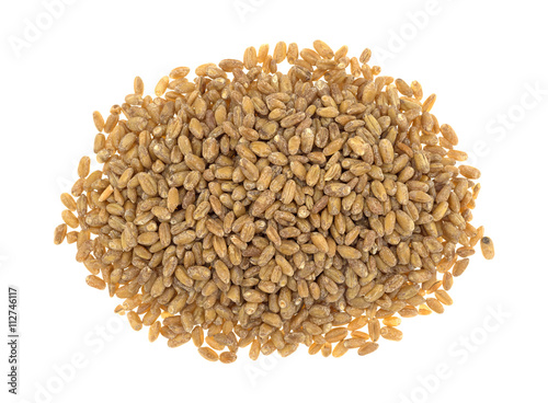Top view of a portion of red winter wheat berries isolated on a white background.
