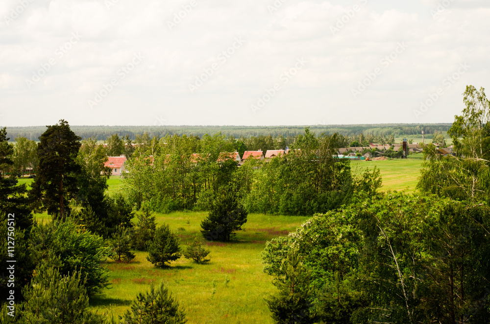 field on a background of the blue sky   