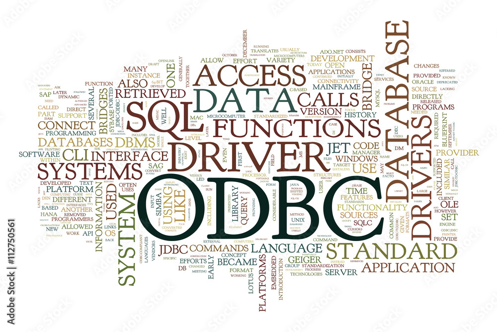 Fototapeta premium ODBC collage of word concepts