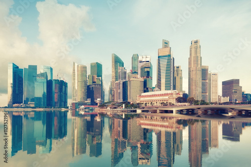 View of central Singapore © lena_serditova
