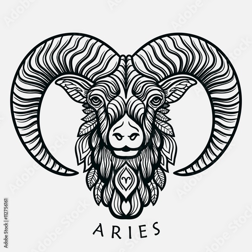 Hand drawn line art of zodiac arias. Vector