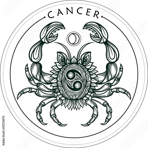 Hand drawn line art of zodiac cancer. Vector