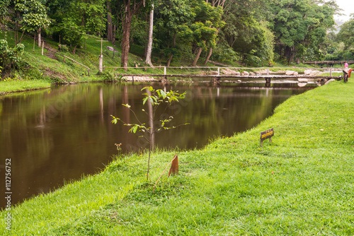 Natural view of Maetakhrai national park photo