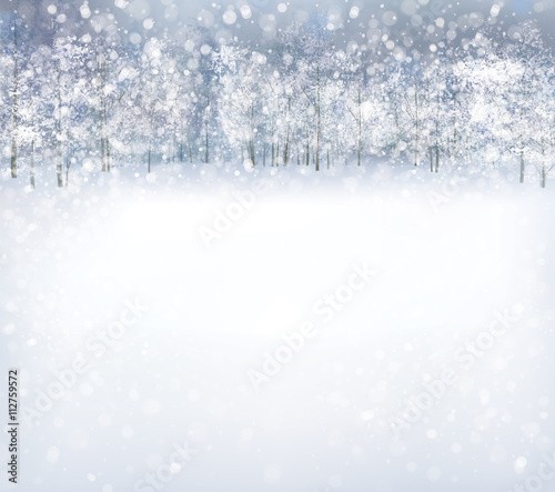 Vector  winter scene with forest background.