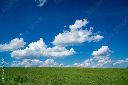 Wolkenhimmel über einem Rapsfeld