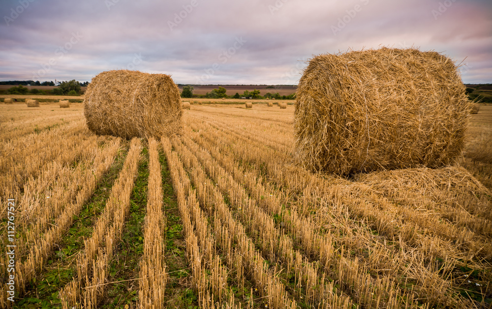 Haystacks on the field. Agricultural landscape
Rolls of haystacks on the field. Summer farm scenery with haystack on the Background of beautiful sunset. Agriculture Concept. 
