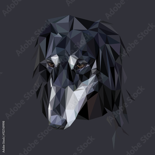 Saluki polygon portrait
