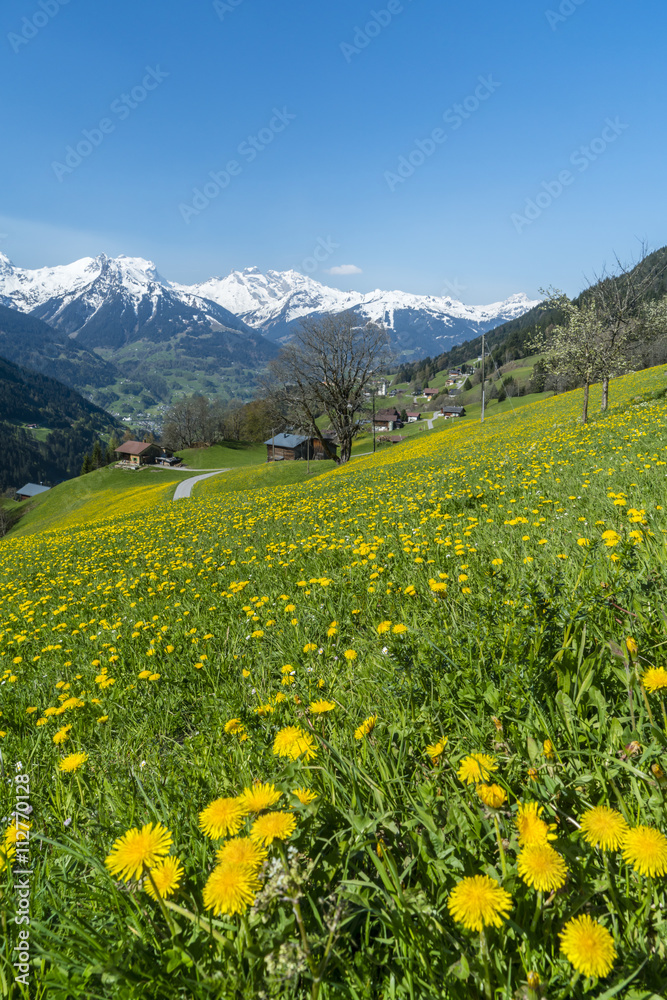 Frühling in den Alpen