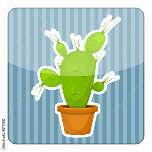 Cactus colorful icon