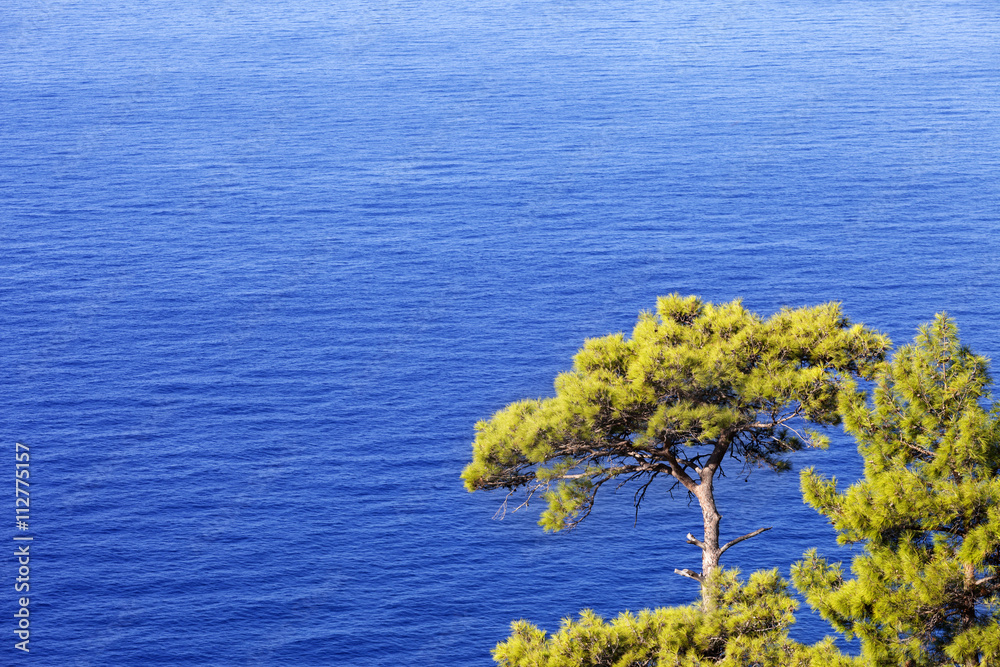 Top view on blue sunlight sea at sun day