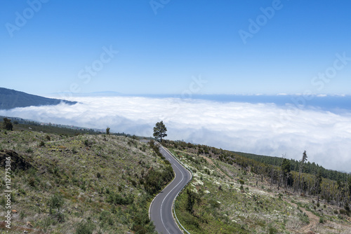 Road. The Teide National Park. Tenerife. Canary Islands. photo