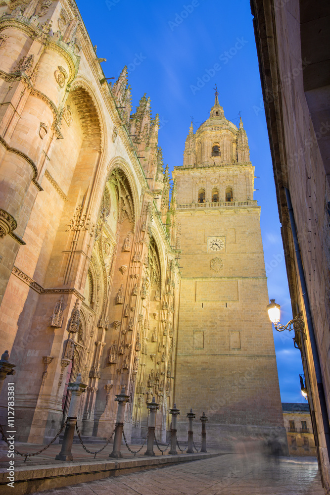 Salamanca - The south gothic portal of Catedral Nueva - New Cathedral at dusk.