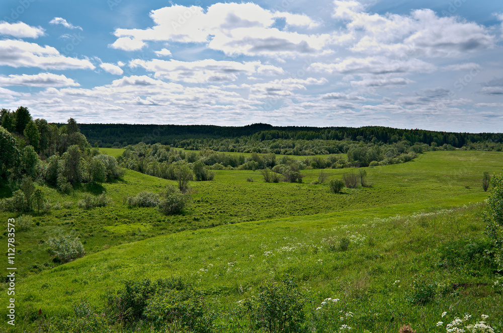 Russian spring meadow.