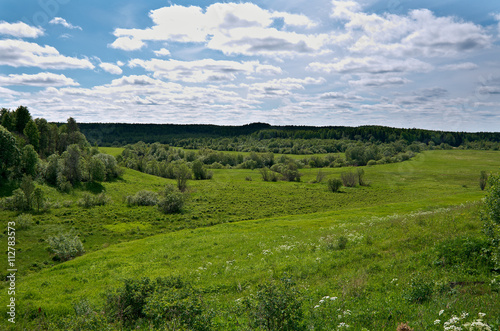 Russian spring meadow.