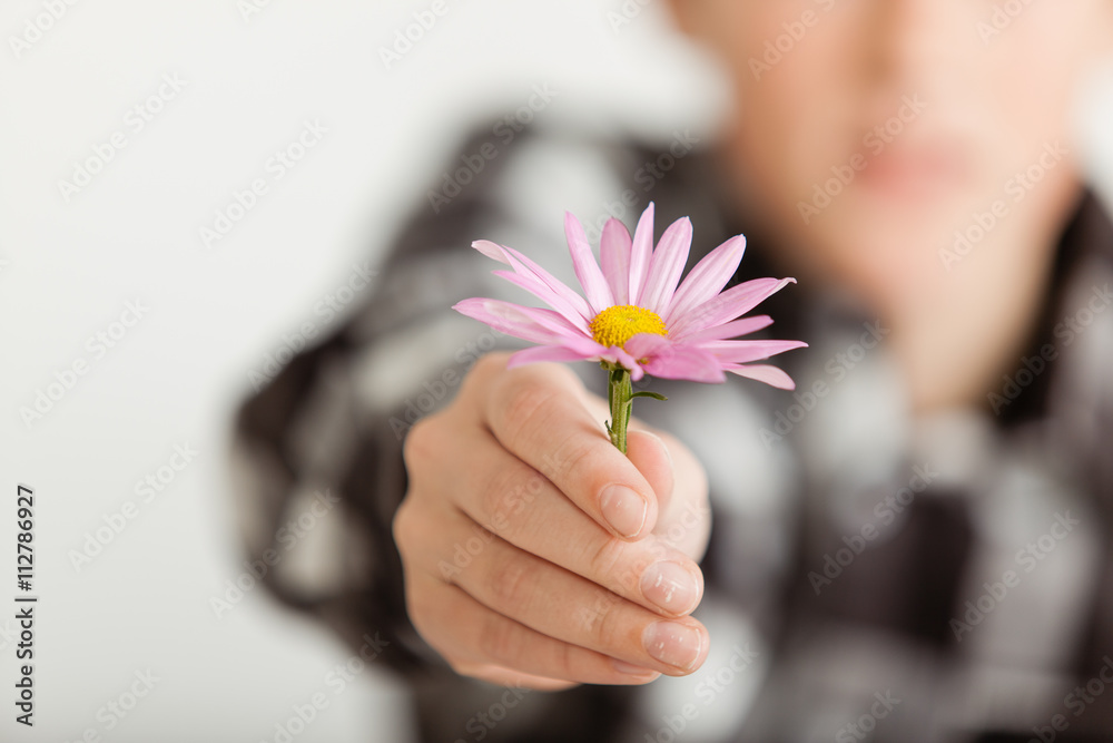 Young Boy Offering Purple Daisy Flower