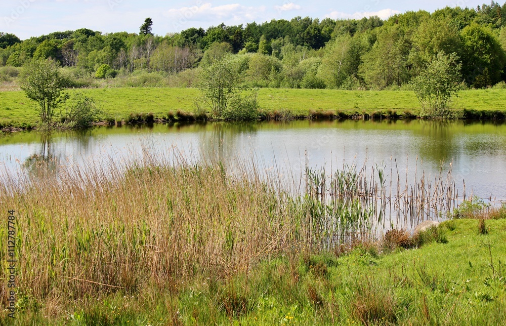 Beautiful panoramic view of small lake surrounded by wetland Beautiful panoramic view of small lake surrounded by wetland