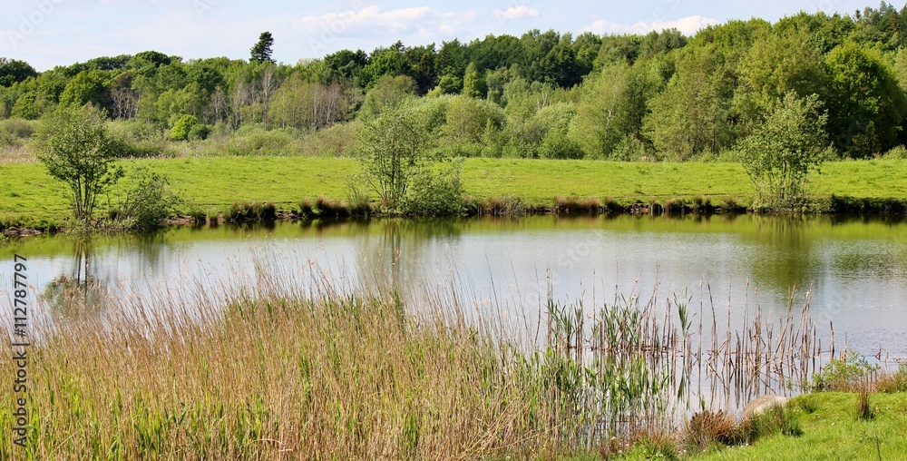 Beautiful panoramic view of small lake surrounded by wetland Beautiful panoramic view of small lake surrounded by wetland
