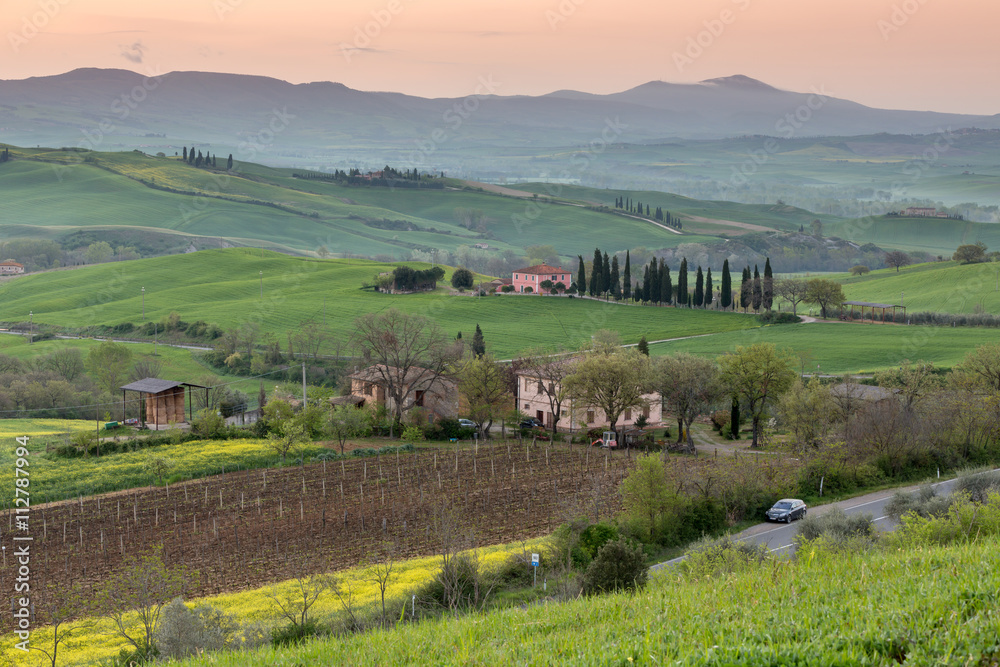 Green farmland in spring season, Tuscany, Italy Green farmland in spring season, Tuscany, Italy