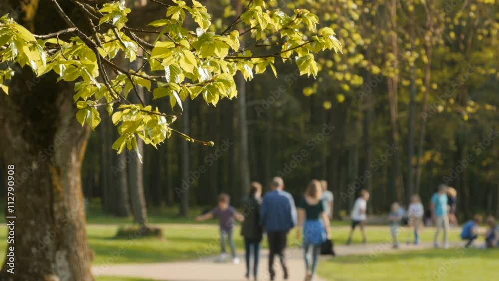 Blurred background of people activities in park with bokeh, spring and summer season Blurred background of people activities in park with bokeh, spring and summer season