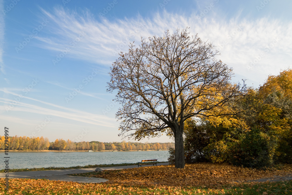 Fototapeta premium Autumnal landscape next to river