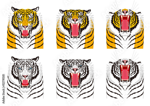 虎の表情　怒り　怒る