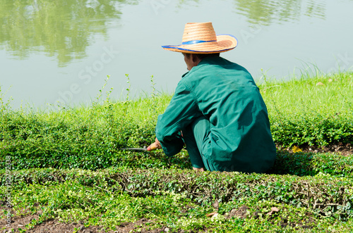 The Cutting Garden