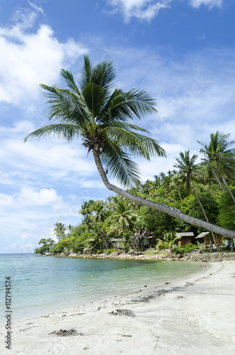 Lonely palm tree on a tropical beach. Thailand.