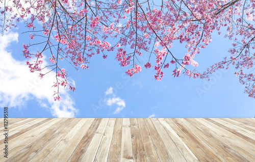 wood table and Beautiful of pink flowers cherry blossom or sakur photo