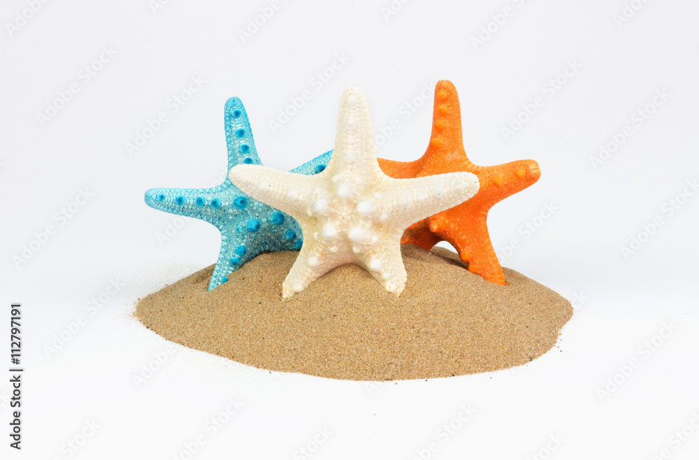 Beach with sand starfish and shells isolated over white Beach with sand starfish and shells isolated over white