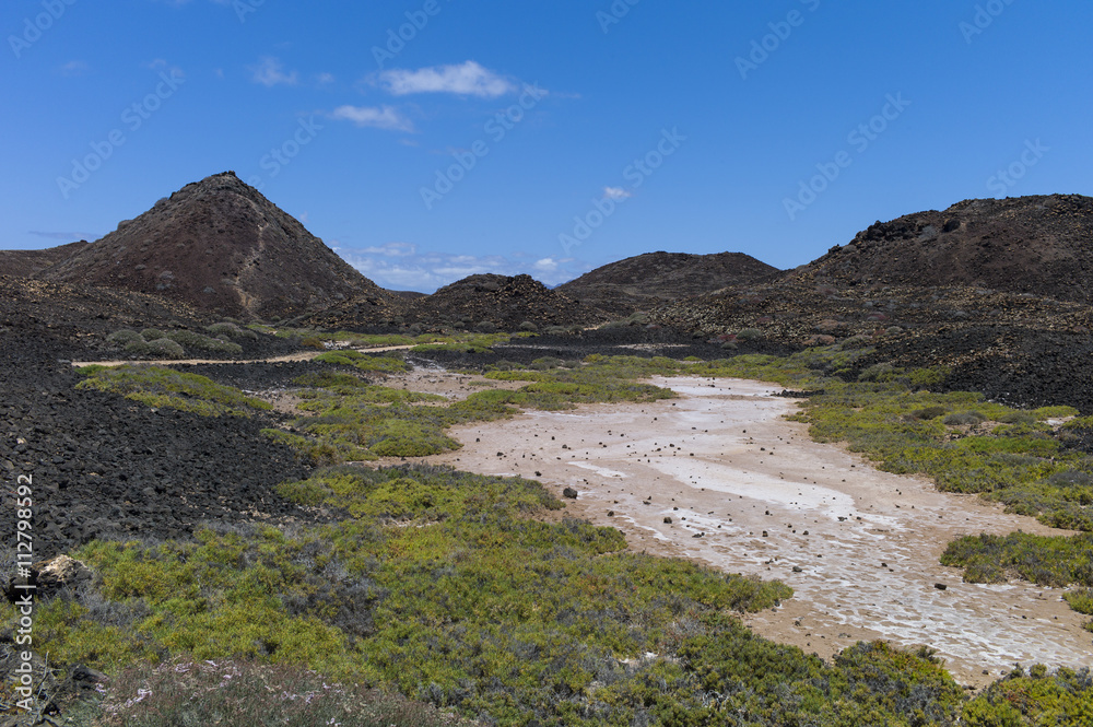 Salt meadows Canary Islands.