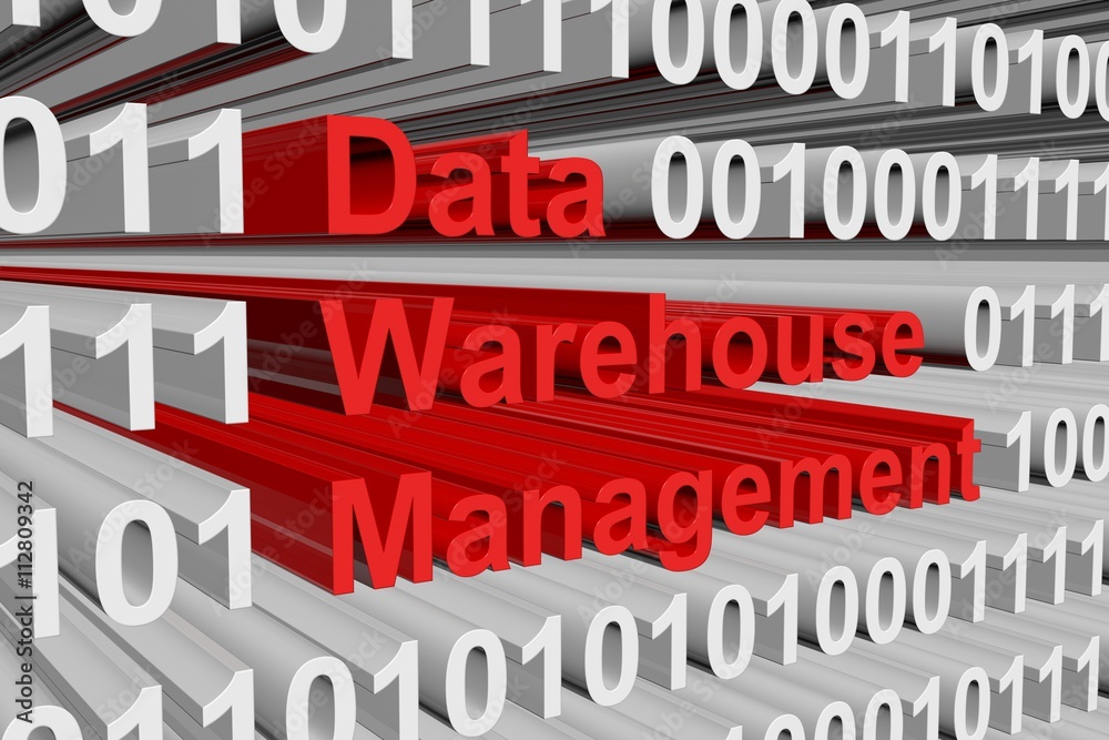 data warehouse management in the form of binary code, 3D illustration