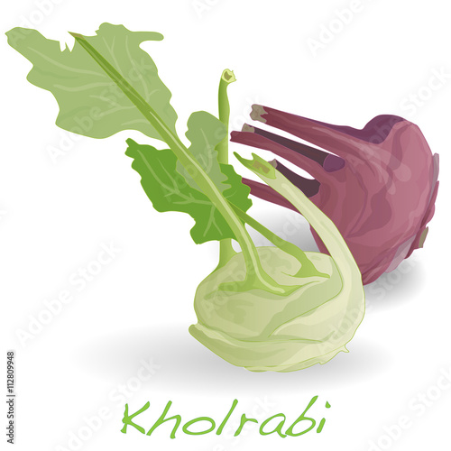 Fresh kohlrabi vector