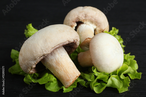 mushrooms with lettuce on black wooden background