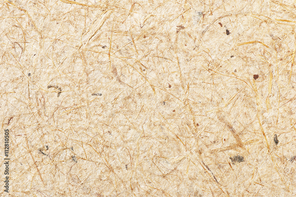 Fototapeta premium Handmade paper with mulberry and straw, texture background