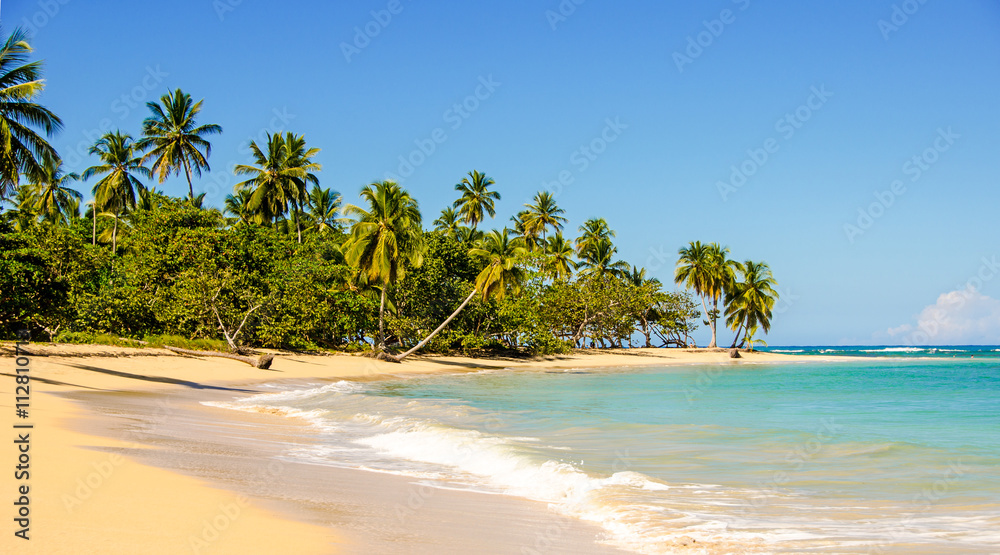 Traumurlaub an einem einsamen Strand in der Karibik :) Traumurlaub an einem einsamen Strand in der Karibik :)