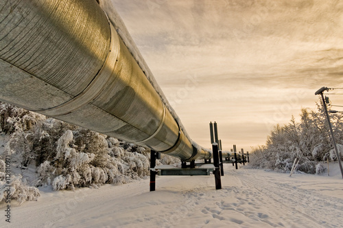 Trans-Alaska Oil Pipeline