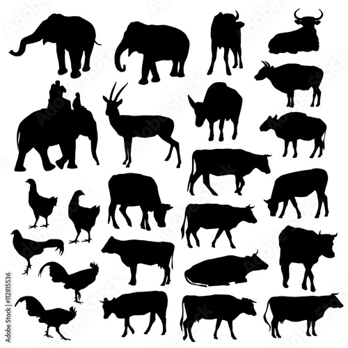 Black silhouettes of elephants, cows, bulls, chickens, deer on white background. vector