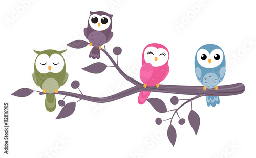 couples of owls sitting on branches