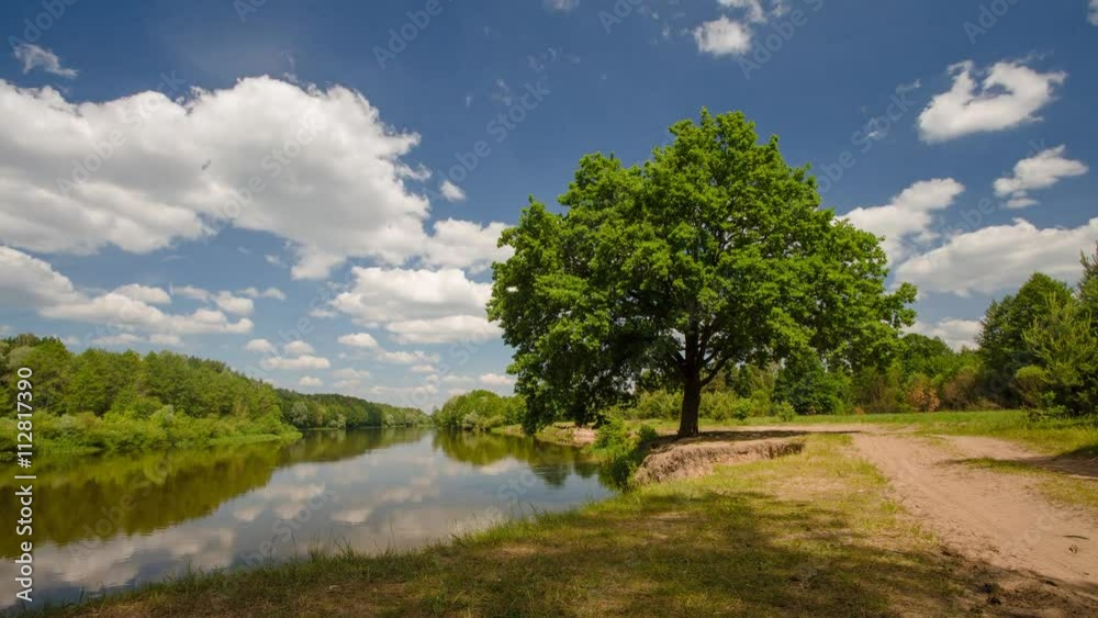 Sunny day time lapse Sunny day time lapse