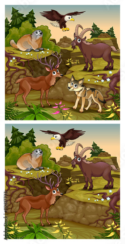 Spot the differences