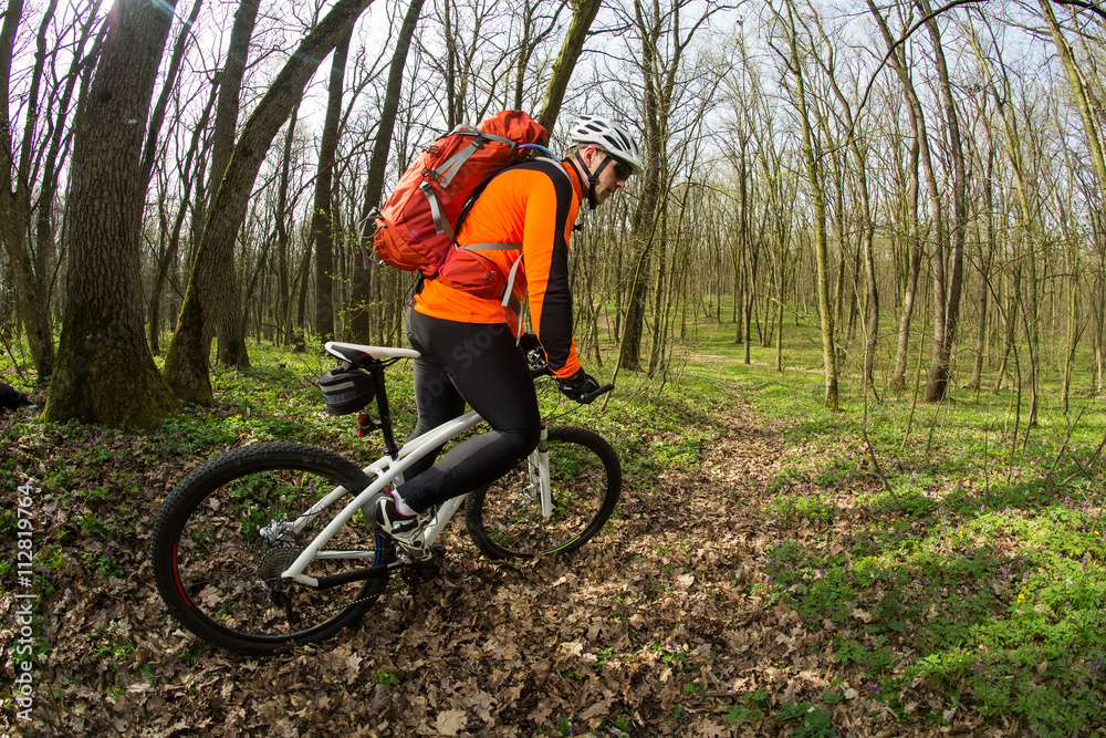 Fototapeta premium Cyclist Riding the Bike in Beautiful Spring Forest