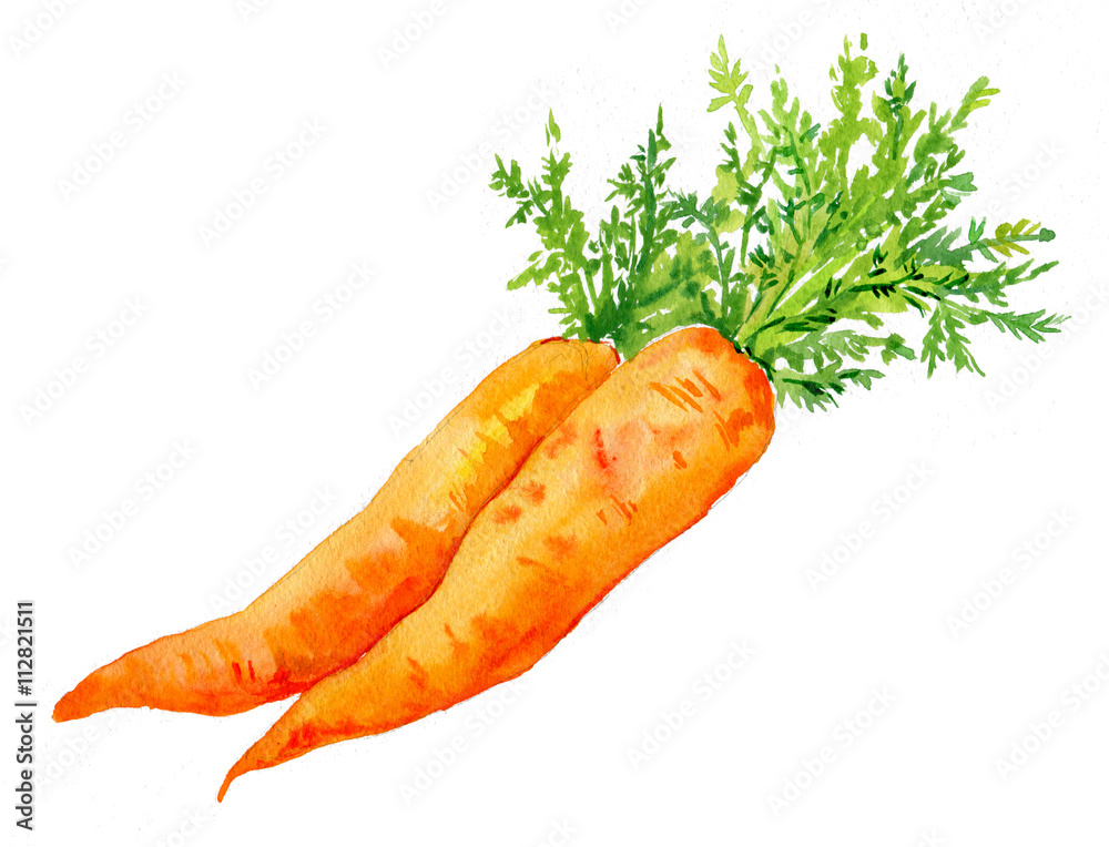 Раскраски овощи, Раскраска Раскраска морковка ребенку овощи.