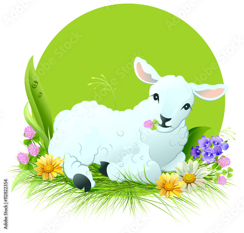Eid al Adha. White lamb lying on grass
