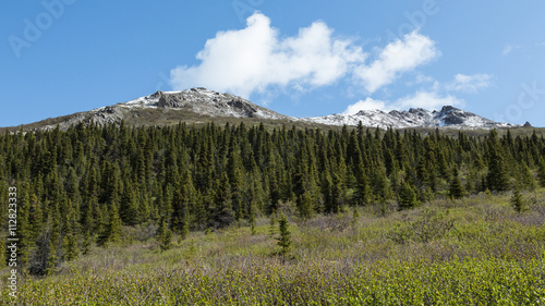 Alaskan Wilderness © cec72