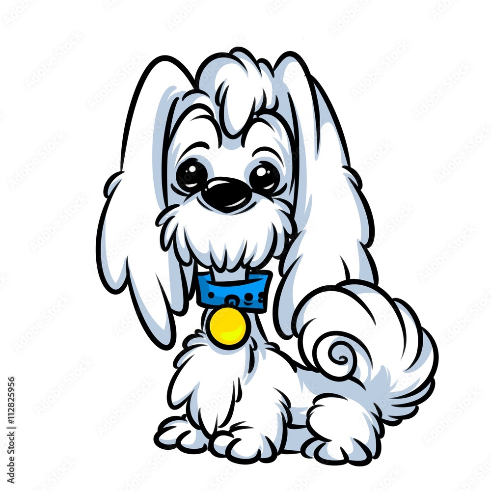 Dog Bichon cartoon illustration isolated image animal character
Dog Bichon cartoon illustration isolated image animal character