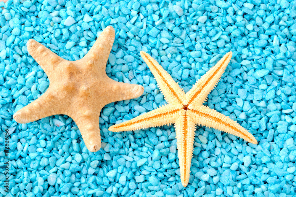due stelle marine di specie diversa, con sfondo di sassolini azzurri due stelle marine di specie diversa, con sfondo di sassolini azzurri